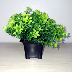 Artificial Green Plant with Black Pot for Home Decor