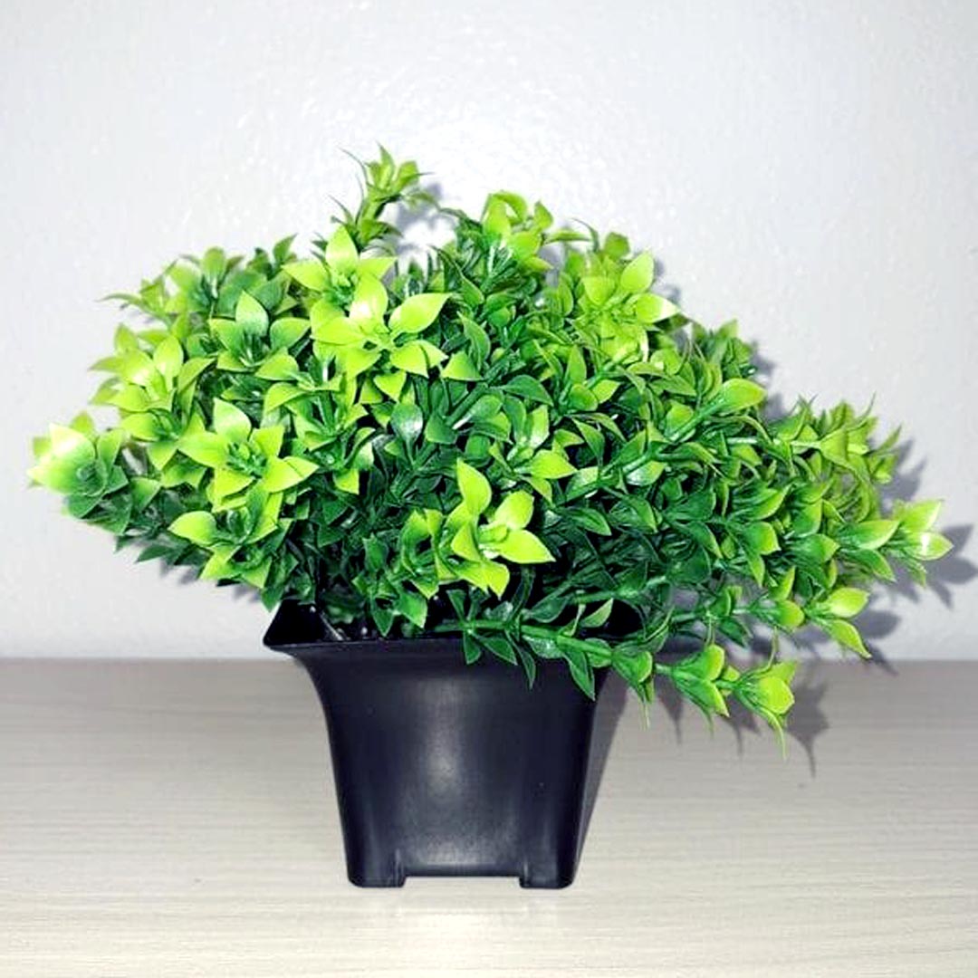 Artificial Green Plant with Black Pot for Home Decor